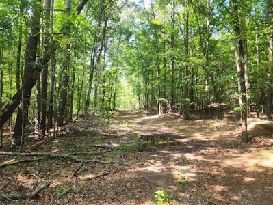 Hunting or Commercial Land For Sale Upstate South Carolina - image 6