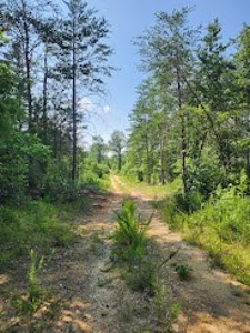 Hunting or Commercial Land For Sale Upstate South Carolina - image 1