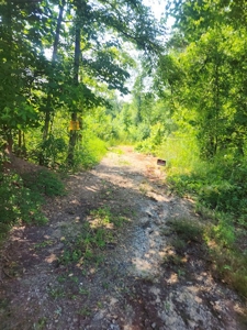 Hunting or Commercial Land For Sale Upstate South Carolina - image 7