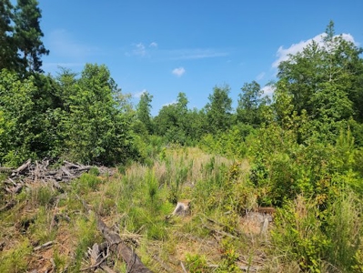 Hunting or Commercial Land For Sale Upstate South Carolina - image 10
