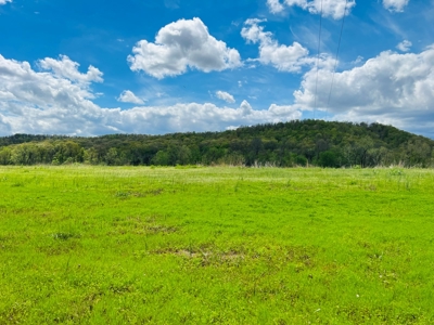 Riverfront Lot For Sale In Guion, Arkansas - image 2