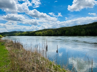 Riverfront Lot For Sale In Guion, Arkansas - image 3