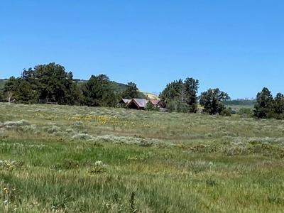 Mountain Home For Sale In Ridgway, Colorado - image 33