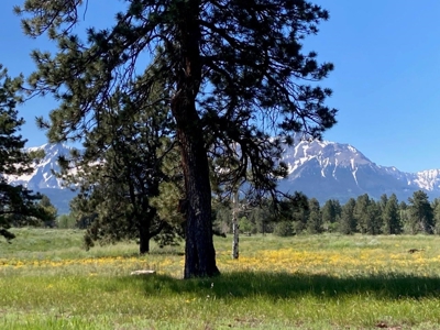Mountain Home For Sale In Ridgway, Colorado - image 27