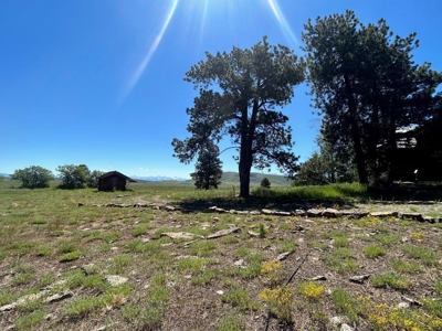 Mountain Home For Sale In Ridgway, Colorado - image 23