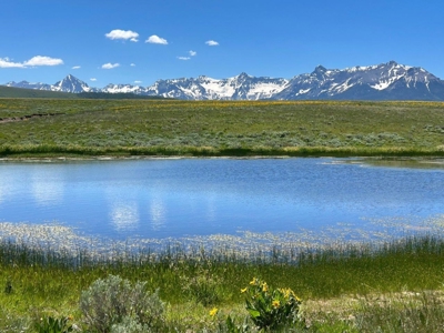 Mountain Home For Sale In Ridgway, Colorado - image 34