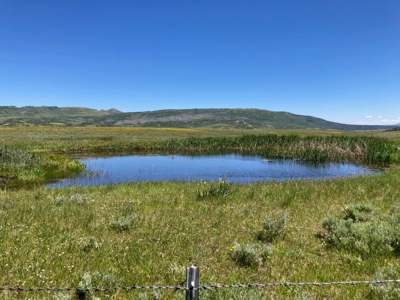 Mountain Home For Sale In Ridgway, Colorado - image 32