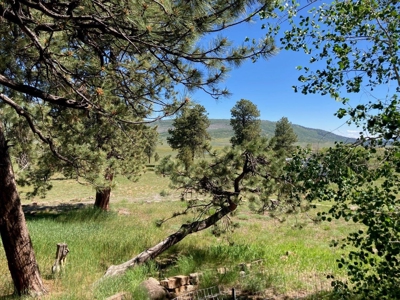 Mountain Home For Sale In Ridgway, Colorado - image 28