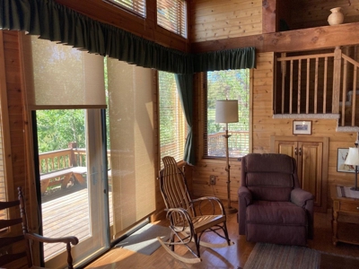 Mountain Home For Sale In Ridgway, Colorado - image 10