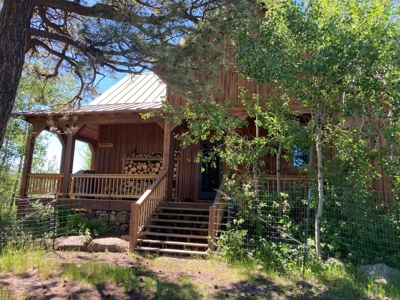 Mountain Home For Sale In Ridgway, Colorado - image 4