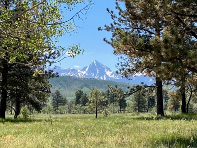 Mountain Home For Sale In Ridgway, Colorado - image 20