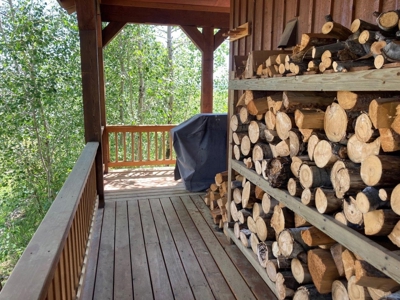 Mountain Home For Sale In Ridgway, Colorado - image 6