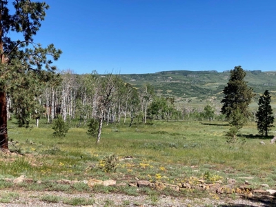 Mountain Home For Sale In Ridgway, Colorado - image 30