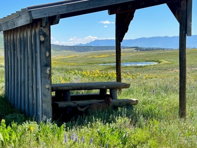 Mountain Home For Sale In Ridgway, Colorado - image 22