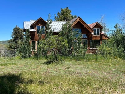 Mountain Home For Sale In Ridgway, Colorado - image 1