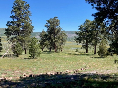 Mountain Home For Sale In Ridgway, Colorado - image 29