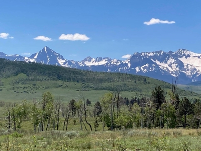 Acreage for Sale With Mountain View In Ridgway, Colorado - image 10