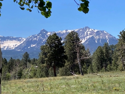 Acreage for Sale With Mountain View In Ridgway, Colorado - image 14
