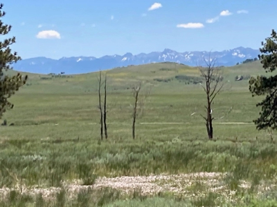 Acreage for Sale With Mountain View In Ridgway, Colorado - image 12