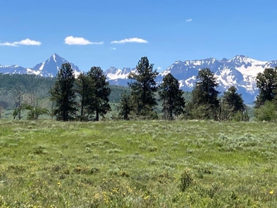 Acreage for Sale With Mountain View In Ridgway, Colorado - image 5