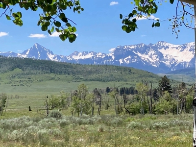 Acreage for Sale With Mountain View In Ridgway, Colorado - image 13