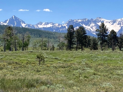 Acreage for Sale With Mountain View In Ridgway, Colorado - image 1