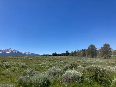 Acreage for Sale With Mountain View In Ridgway, Colorado - image 22
