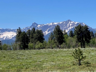 Acreage for Sale With Mountain View In Ridgway, Colorado - image 4
