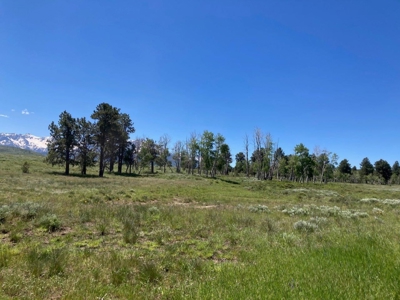 Acreage for Sale With Mountain View In Ridgway, Colorado - image 23