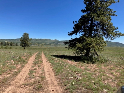 Acreage for Sale With Mountain View In Ridgway, Colorado - image 16