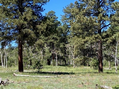 Acreage for Sale With Mountain View In Ridgway, Colorado - image 9