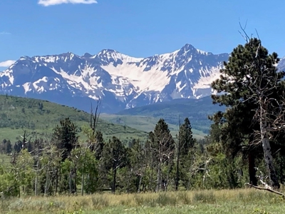 Acreage for Sale With Mountain View In Ridgway, Colorado - image 11