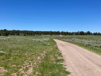 Acreage for Sale With Mountain View In Ridgway, Colorado - image 20