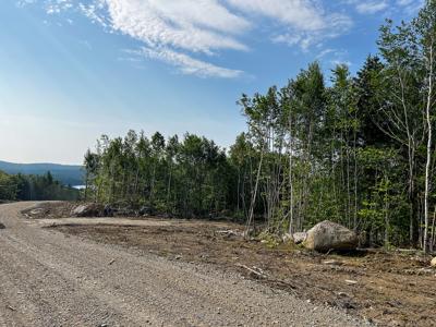 Hillside Subdivision Lot - image 6