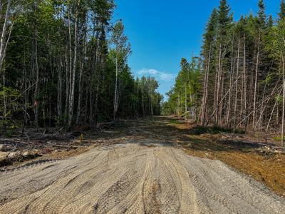 Hillside Subdivision Lot - image 8