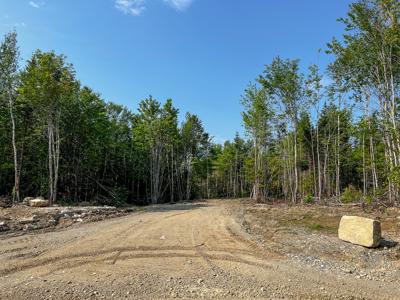 Hillside Subdivision Lot - image 9