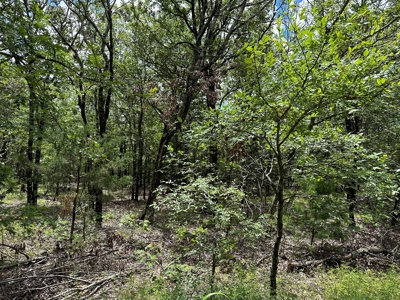 Land for Sale Southeast Oklahoma- Latimer County - Oklahoma - image 5