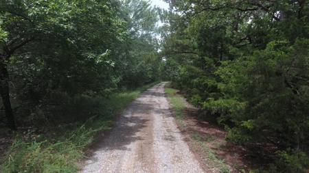 Land for Sale Southeast Oklahoma- Latimer County - Oklahoma - image 1