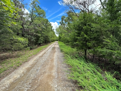 Land for Sale Southeast Oklahoma- Latimer County - Oklahoma - image 7