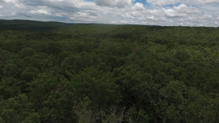 Land for Sale Southeast Oklahoma- Latimer County - Oklahoma - image 3