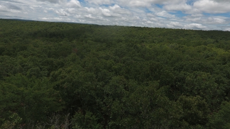 Land for Sale Southeast Oklahoma- Latimer County - Oklahoma - image 2