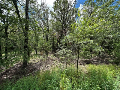 Land for Sale Southeast Oklahoma- Latimer County - Oklahoma - image 6