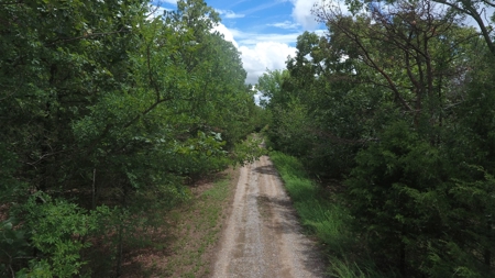 Land for Sale Southeast Oklahoma- Latimer County - Oklahoma - image 4