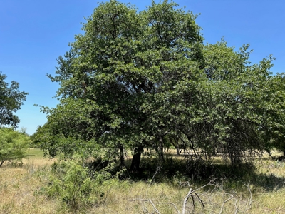 Lot 584 Homesite The Hideout Golf Course Lake Brownwood Tx - image 17