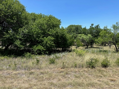 Lot 584 Homesite The Hideout Golf Course Lake Brownwood Tx - image 5