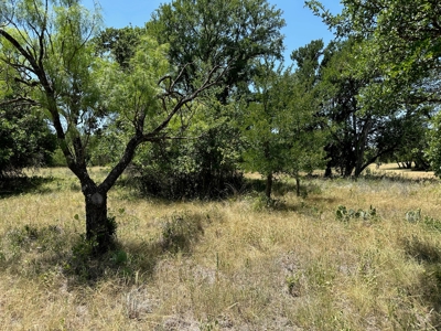 Lot 584 Homesite The Hideout Golf Course Lake Brownwood Tx - image 9