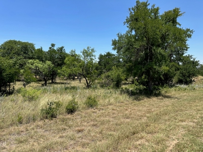 Lot 584 Homesite The Hideout Golf Course Lake Brownwood Tx - image 4