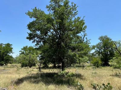 Lot 584 Homesite The Hideout Golf Course Lake Brownwood Tx - image 19