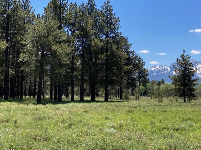 Mountain Property For Sale, Ridgway, Colorado - image 4