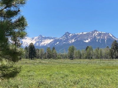 Mountain Property For Sale, Ridgway, Colorado - image 1